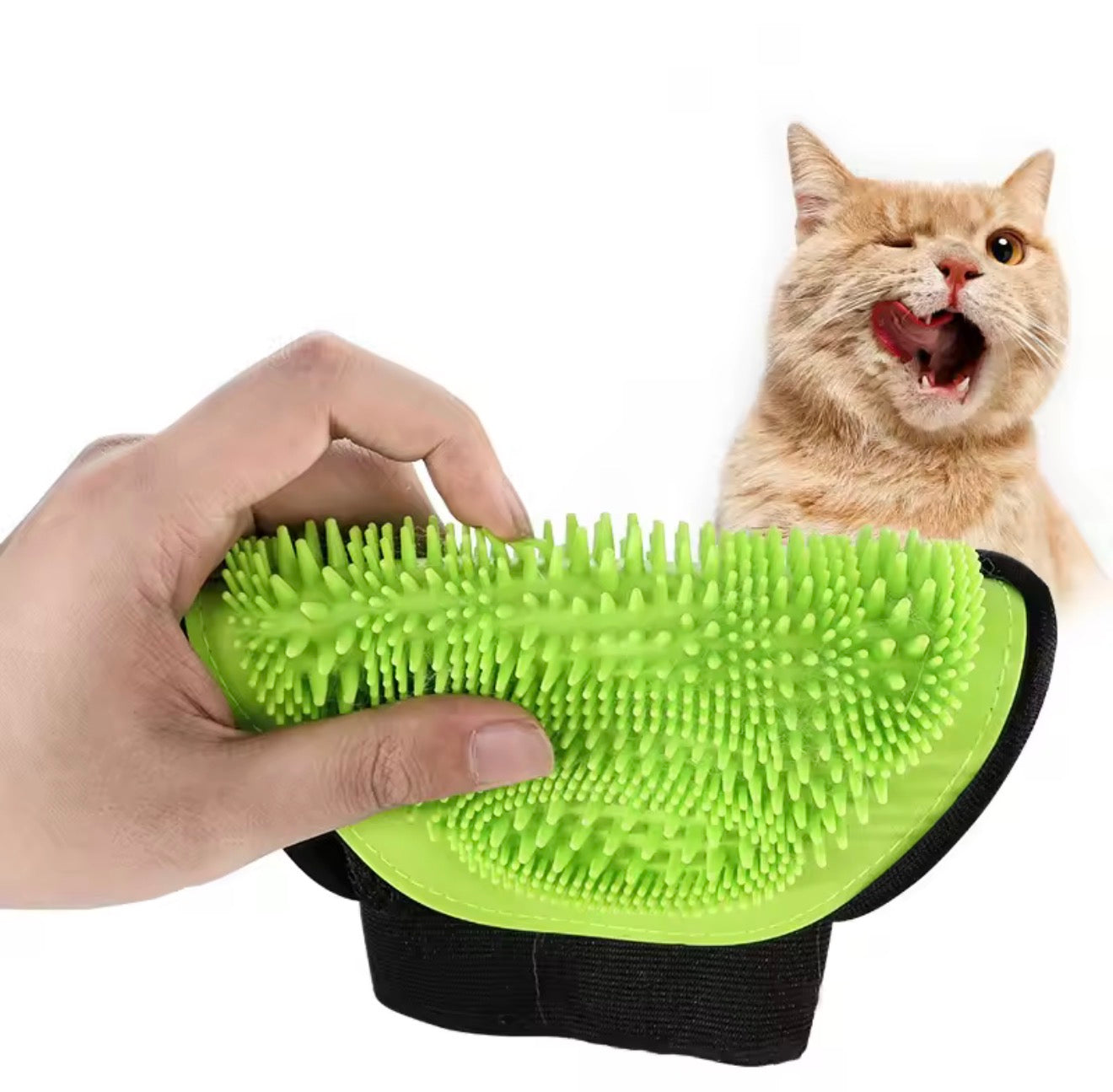 Pet Scrubbing Glove